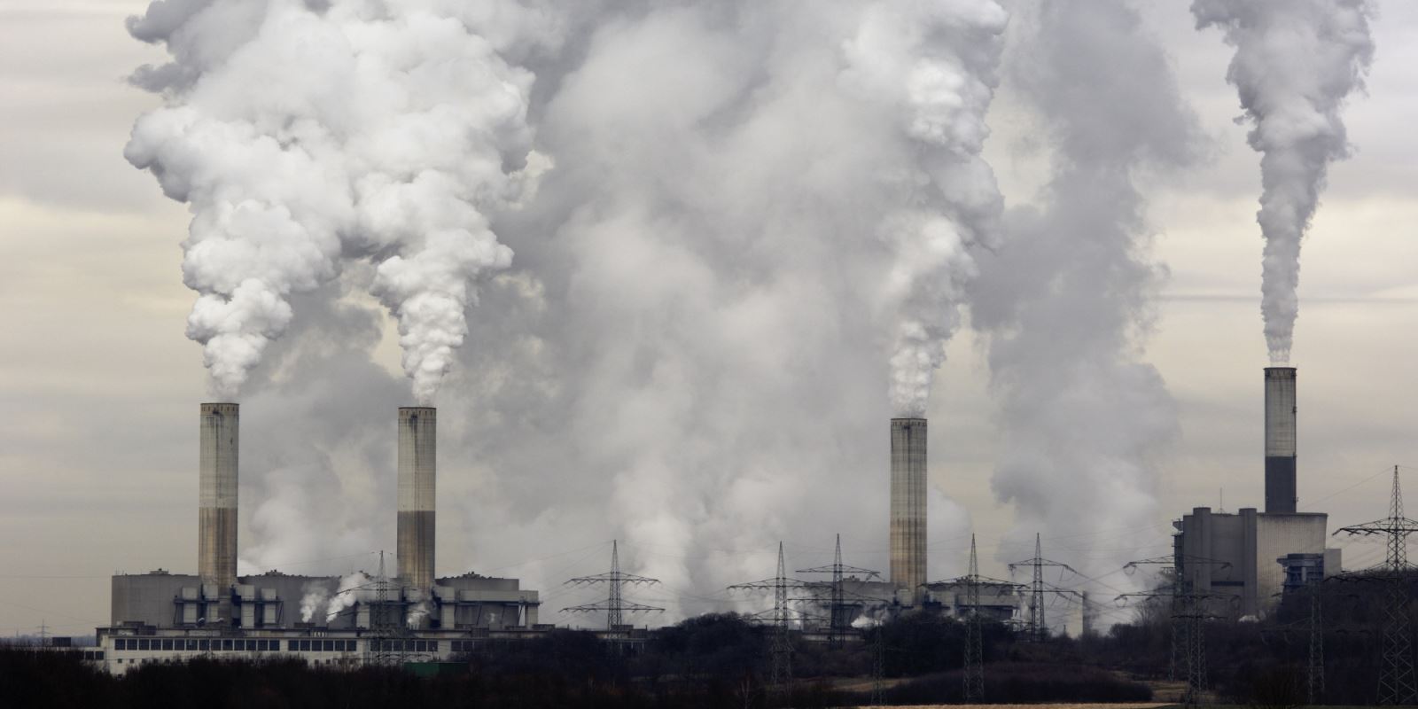 Nếu buộc phải đốt nến trong Giờ Trái đất, ít nhất hãy dùng một cây nến làm từ sáp ong