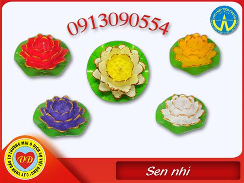 Sen nhí (Phát sáng, Không phát sáng)